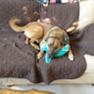 Meet your Posher, Kb